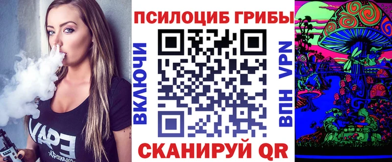 хочу   даркнет клад  Псилоцибиновые грибы Psilocybe  Рыльск 